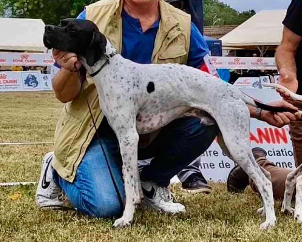 Urus De Terro Tant Aïmado