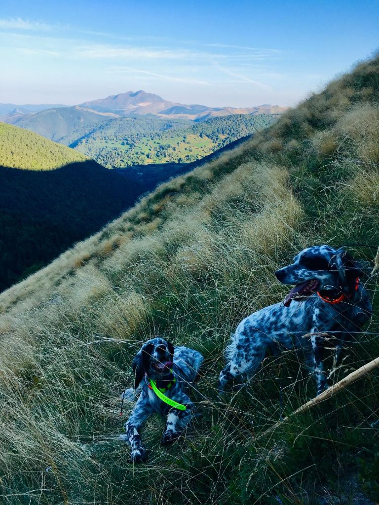 De Terro Tant Aïmado - Comptage en montagne