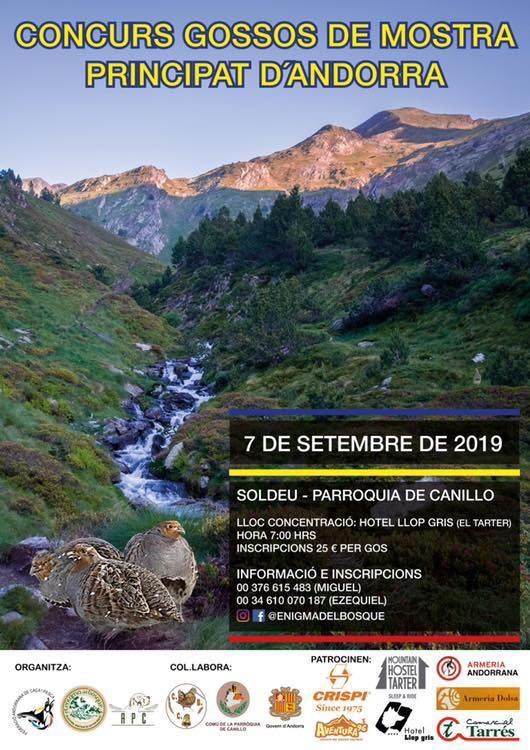 De Terro Tant Aïmado - Participation au 1er concour sur perdrix en Andorre