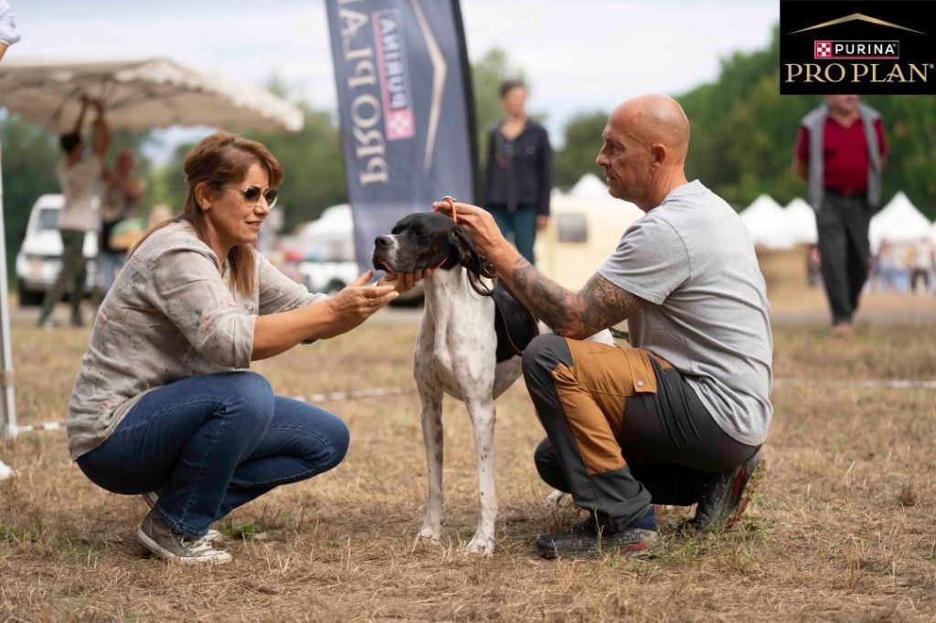salon terrre de chasse sauterne