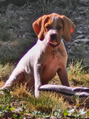 BAYA
